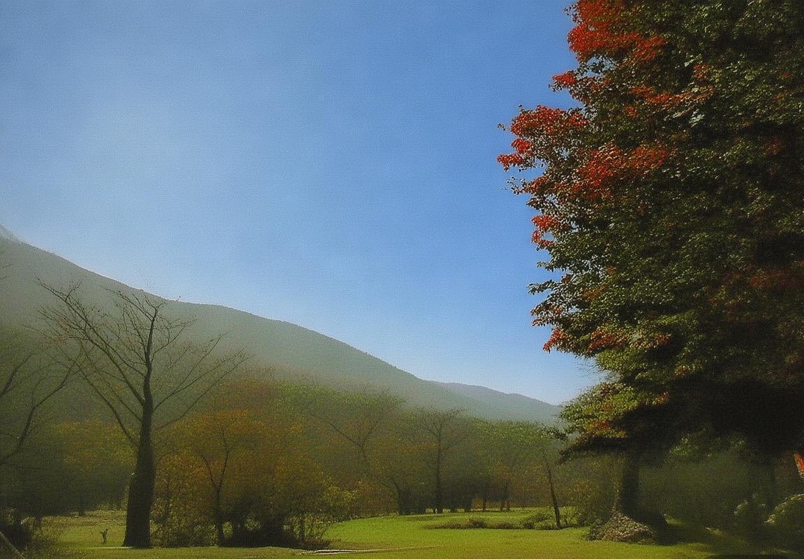 2017沪上德比：申花上港激情对决回顾与战术分析(图3)